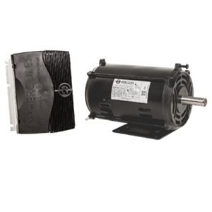 Esteiras Ergométricas